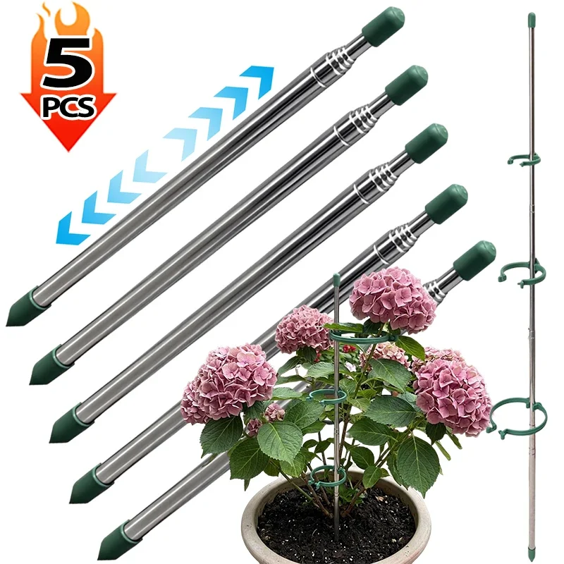 5/1PCS Retractable Plant Suppo - Supply For Florist ulasan dan harga