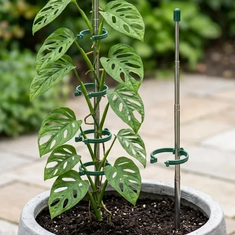 5/1PCS Retractable Plant Suppo - Supply For Florist ulasan dan harga