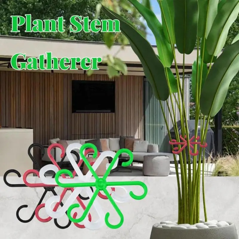 Plant Stem Support Clamp Monst - Supply For Florist ulasan dan harga