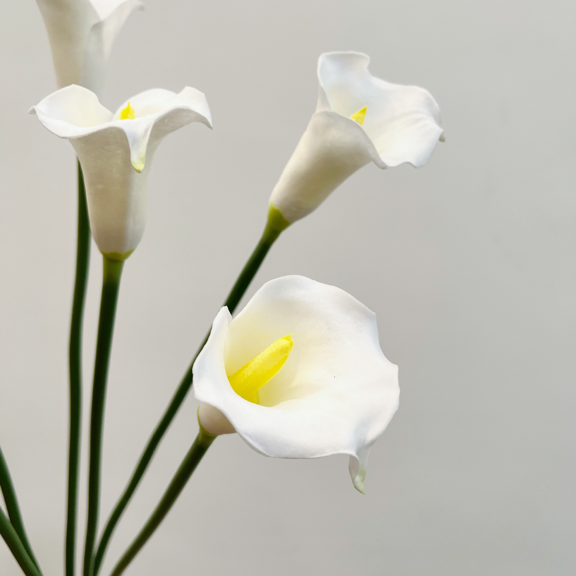 26 Inch Single Stem Crescent C - Supply For Florist ulasan dan harga