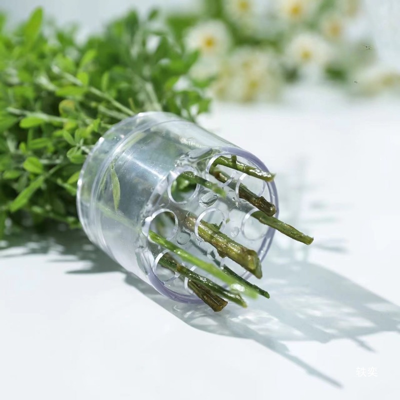 Spiral Stem Holder Sturdy Clea - Supply For Florist ulasan dan harga
